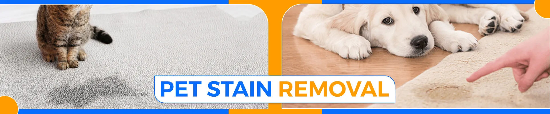 carpet cleaning in brooklyn, carpet cleaning in brooklyn, carpet cleaning brooklyn, carpet cleaners in brooklyn, carpet cleaners in brooklyn, commercial carpet cleaning, commercial carpet cleaning in brooklyn, brooklyn rug cleaners, rug cleaning services in brooklyn, same day carpet cleaning, same day rug cleaning